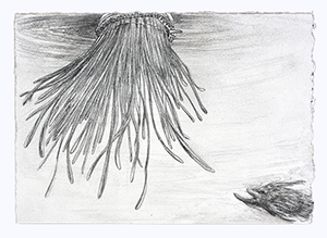 drawing thumbnail