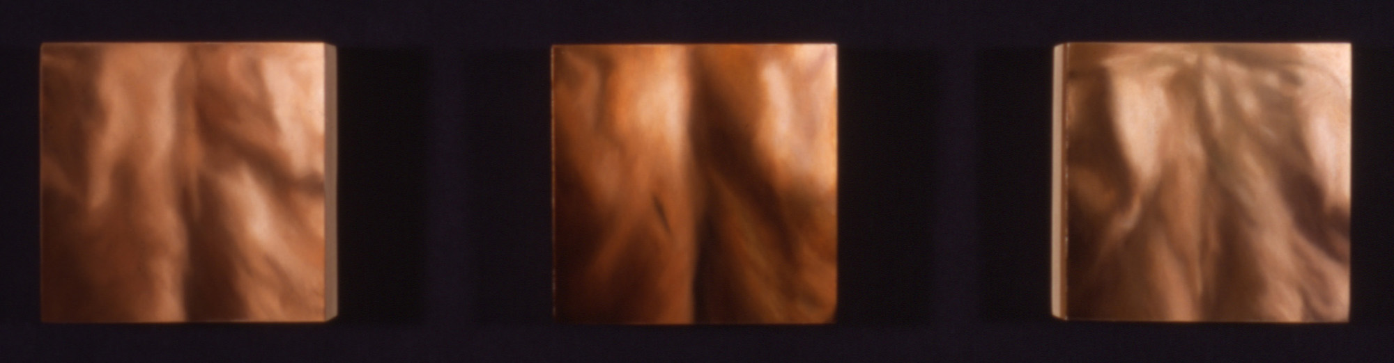 Skin Triptych #3 (Jon, Don, and Chuck)